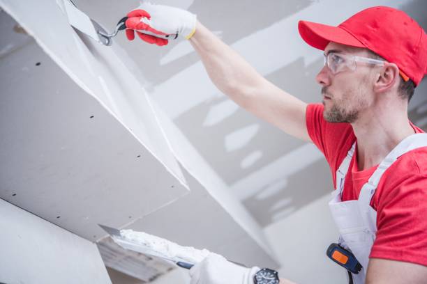 Best Water-Damaged Drywall Repair  in Winnetka, IL